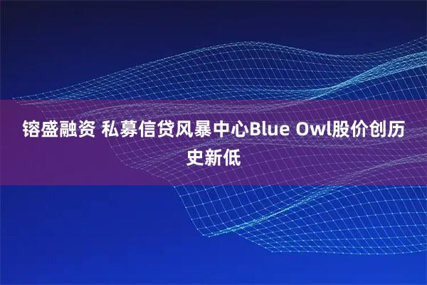 镕盛融资 私募信贷风暴中心Blue Owl股价创历史新低